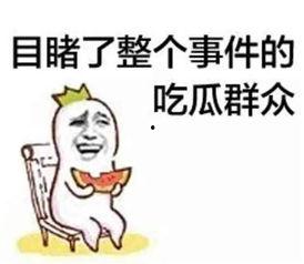 离谱副业娱乐吃瓜酱,娱乐吃瓜酱带你领略副业界的趣味与疯狂
