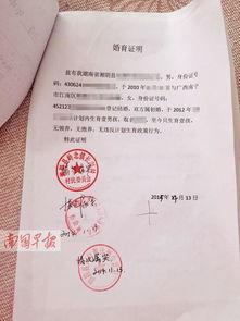 人间证明在线观看,揭秘真实与虚幻的边界