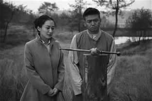 绝路逢生全集在线观看,逆境重生，逆境中的希望之光