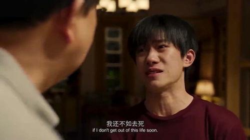 在线热播电影观看,在线观看热潮下的光影盛宴