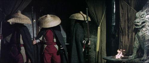 蛇鹤八步在线观看,在线观看，领略国术魅力