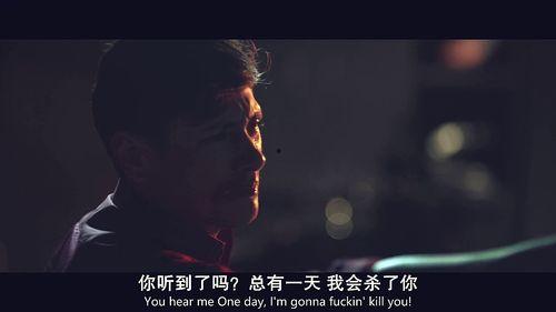 心仇在线观看,揭秘复仇之路的惊心动魄