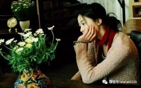 雏菊韩剧在线观看,浪漫复仇与爱情的交织