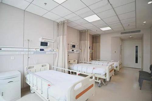 407病房在线观看,惊悚悬疑背后的真实故事