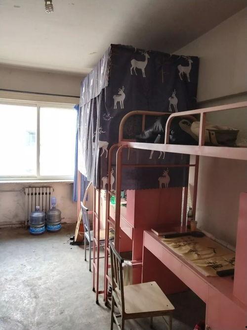 318宿舍在线观看,青春记忆里的温馨时光