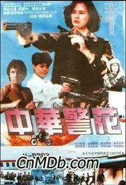 中华警花 电影在线观看,守护正义的美丽身影
