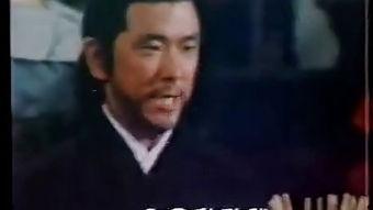 独臂双雄 在线观看,逆境中的传奇英雄
