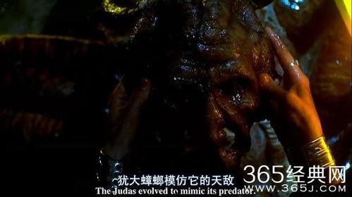 撕裂人2 在线观看,血战再启，在线惊悚盛宴