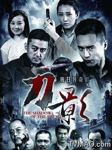 刀影完整版在线观看,暗夜杀手传奇，在线揭秘神秘江湖