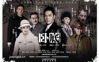 卧底2015在线观看,潜入黑暗，揭秘犯罪世界的卧底传奇