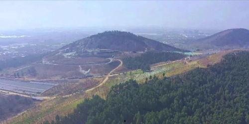《公园》在线观看,漫步自然之美，探寻心灵栖息地