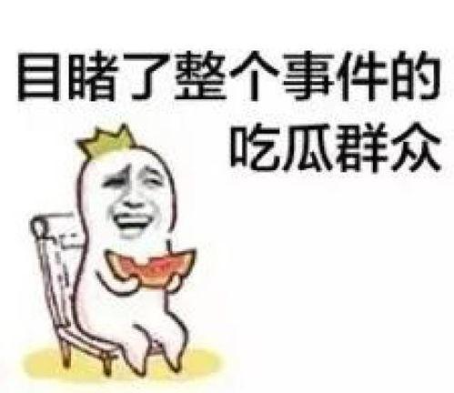 娱乐吃瓜君和七七铲屎官,揭秘娱乐圈与宠物界的趣味故事