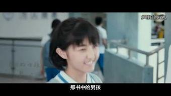 新金梅梅手机在线观看,重温经典，畅享视听盛宴