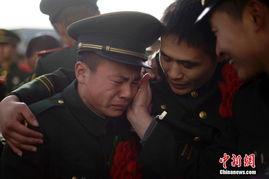 退役高清在线观看,在线观看一网打尽