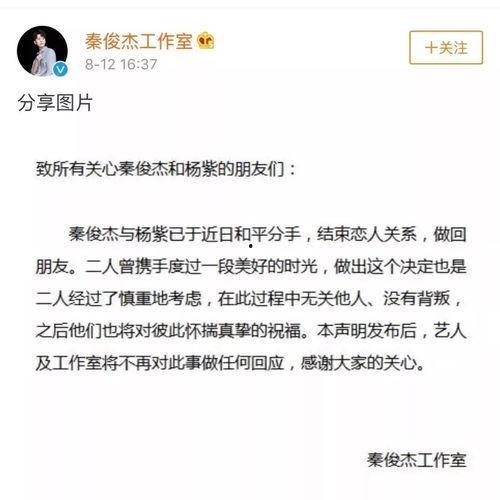 娱乐吃瓜君张翰,娱乐吃瓜界的风云人物