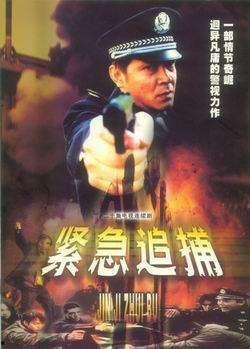 紧急追捕全集在线观看,全剧情揭秘，紧张刺激的在线观看之旅