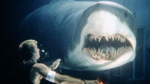 深海狂鲨在线观看免费,惊险海底探险，生死搏斗一触即发！