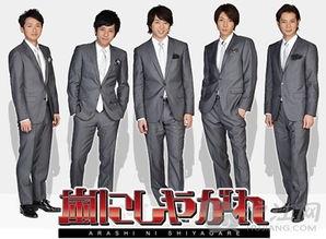 日本 综艺 下载,热门节目一览与下载攻略