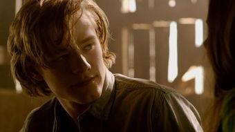 狼人镇免费在线观看,免费在线惊悚之夜