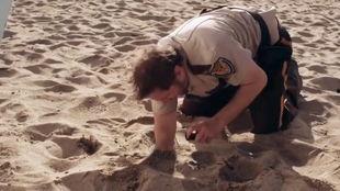 食人沙滩电影在线观看,惊悚求生之旅