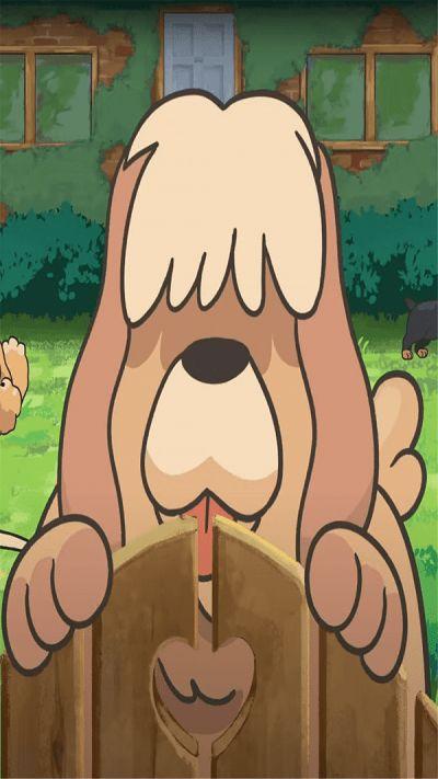 老友狗狗手机在线观看,手机在线重温温馨时光