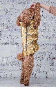 皮毛 在线观看 下载,揭秘动物世界中的神秘外衣