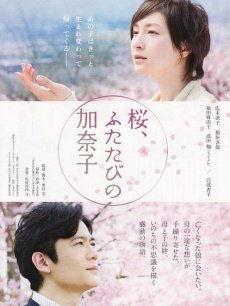 电影樱在线观看,在线绽放的浪漫传奇