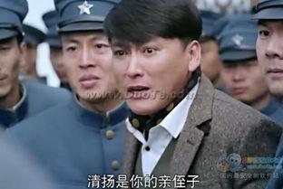 炮神电视剧40在线观看,揭秘传奇炮兵传奇人生