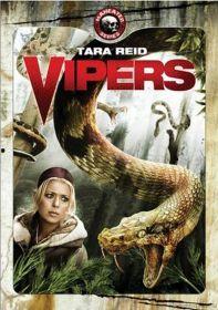 毒蛇电影在线观看