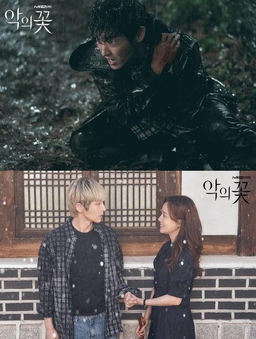 恶之花电影在线观看,人性深渊的惊悚之旅